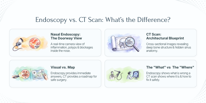 Nasal Endoscopy vs CT Scan - Endoscopy vs. What's the Difference?